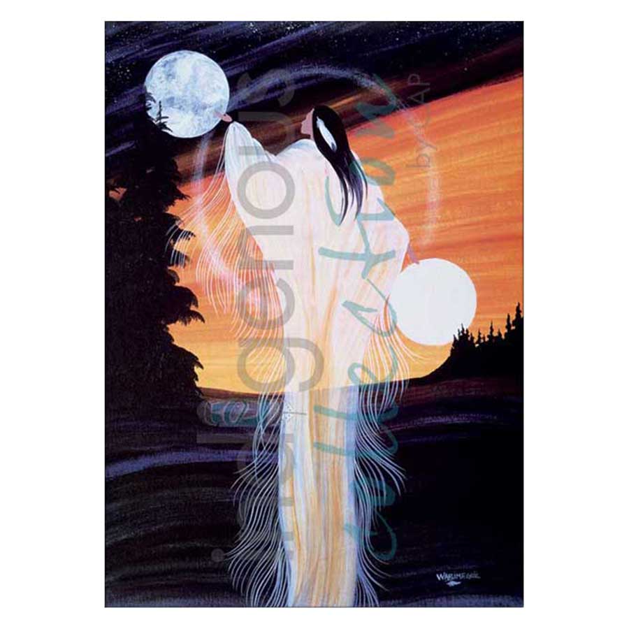January Moon Canvas Prints