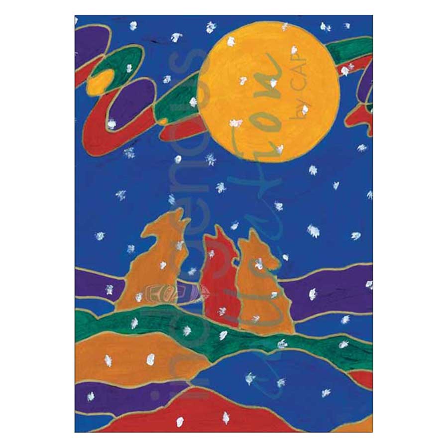 Full Moon Canvas Prints
