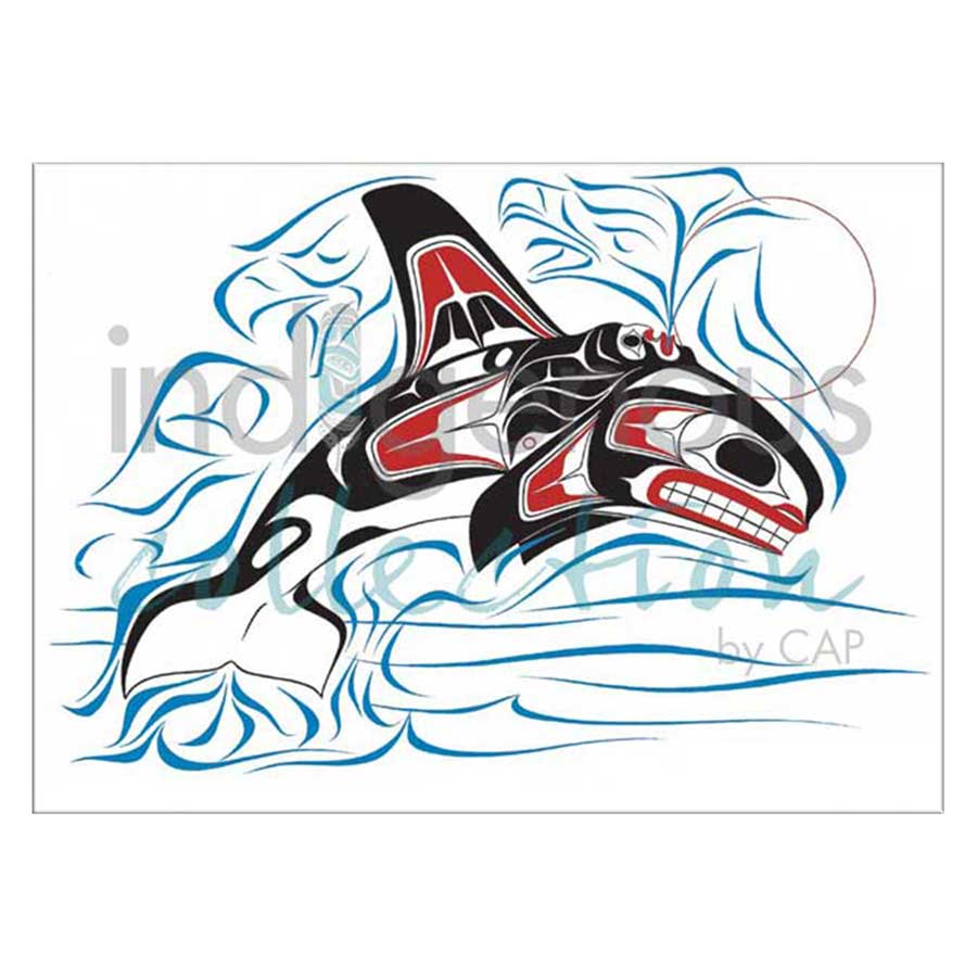 Diving Killer Whale Canvas Prints
