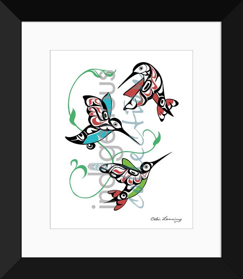 Hummingbirds Limited Edition. Indigenous Collection