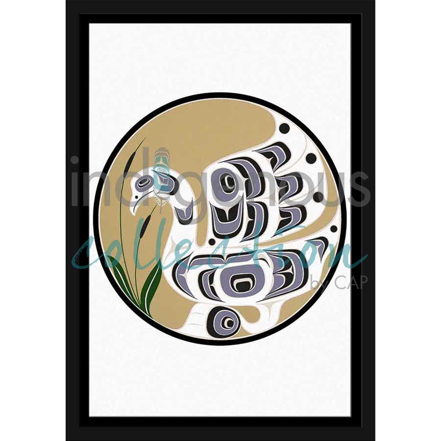 Swan by artist Randy Cook - Namgis, Maamtagila and Mamalilikala. Indigenous Collection