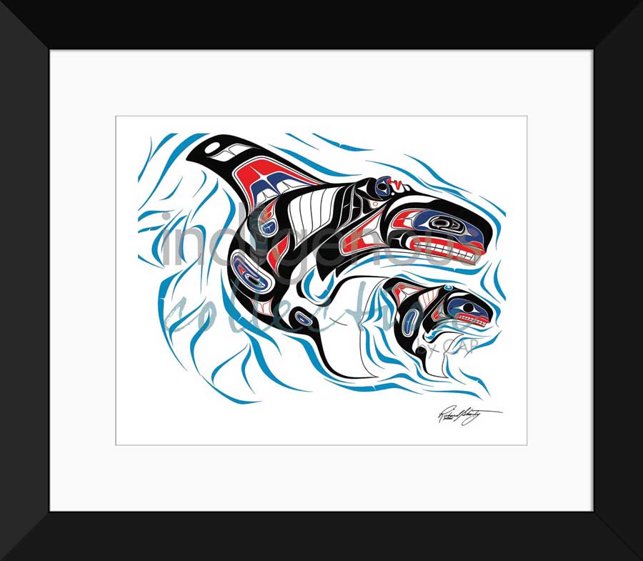 New Life Limited Edition. Indigenous Collection