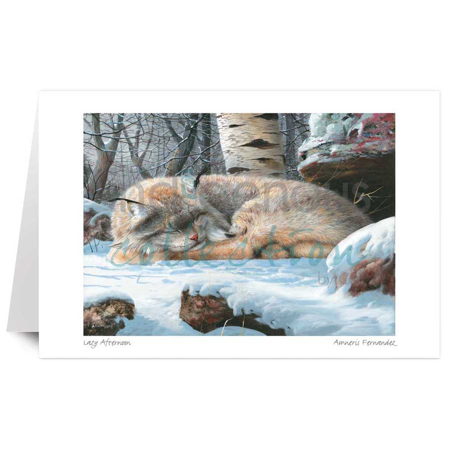 Lazy Afternoon (Lynx) by artist Amneris Fernandez