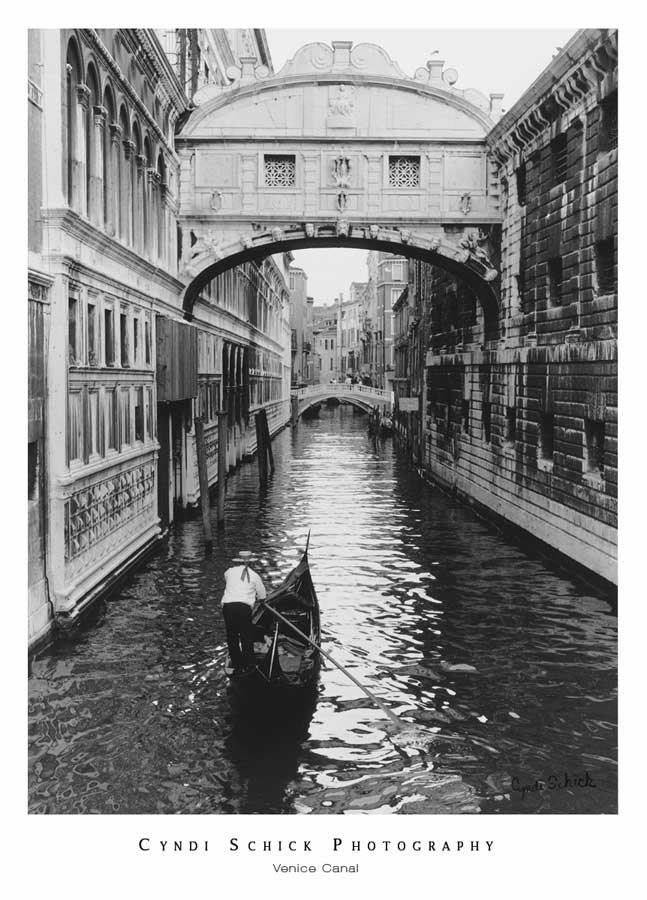 Venice Canal by artist  Cyndi Schick