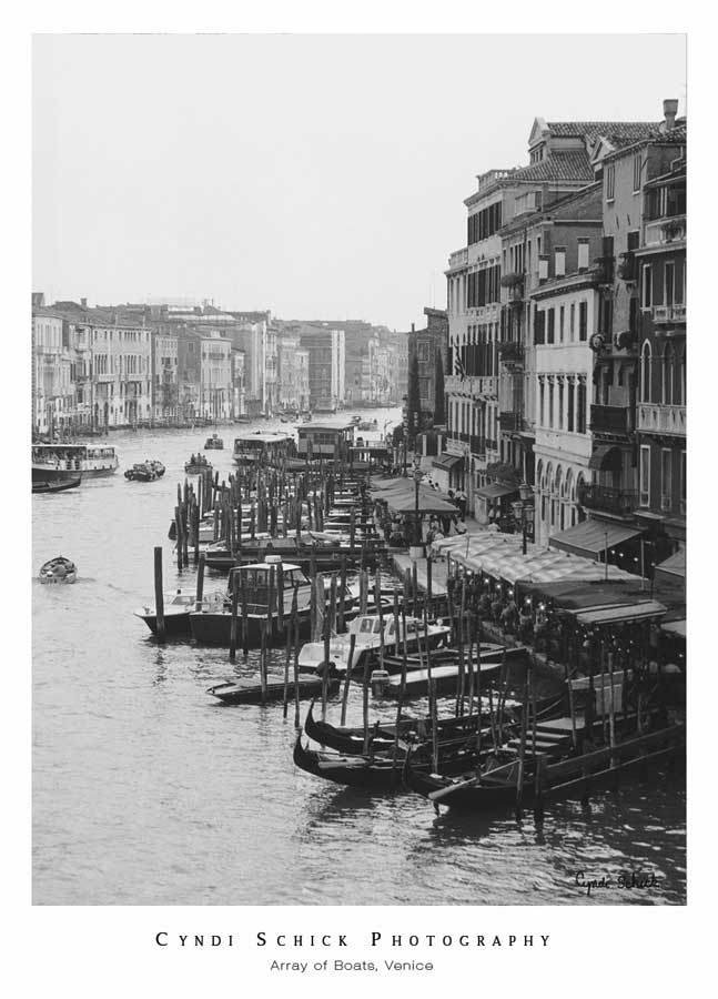 Array of Boats, Venice by artist  Cyndi Schick