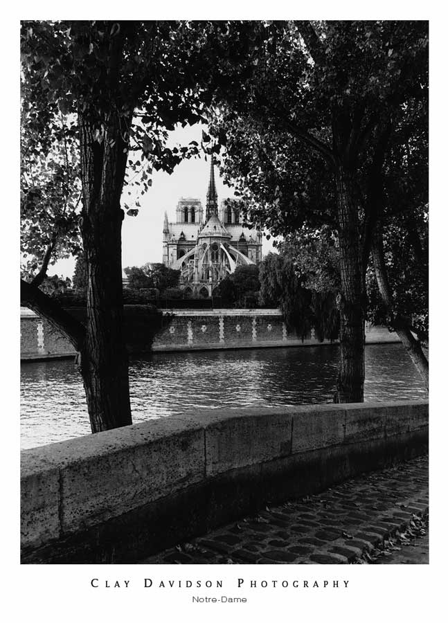 Notre Dame by artist  Clay Davidson