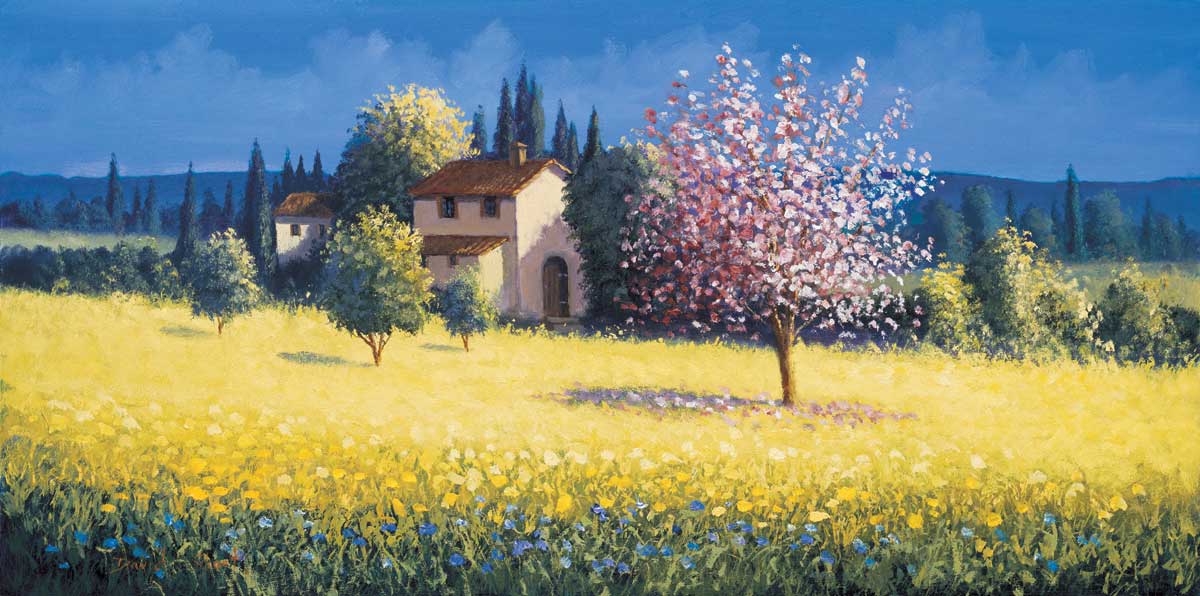 Spring Blossoms by artist  David Short