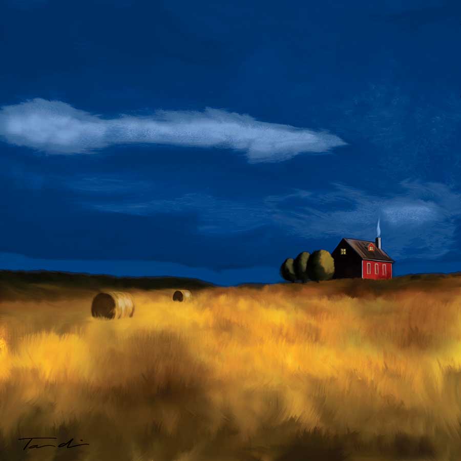 My House by artist  Tandi Venter