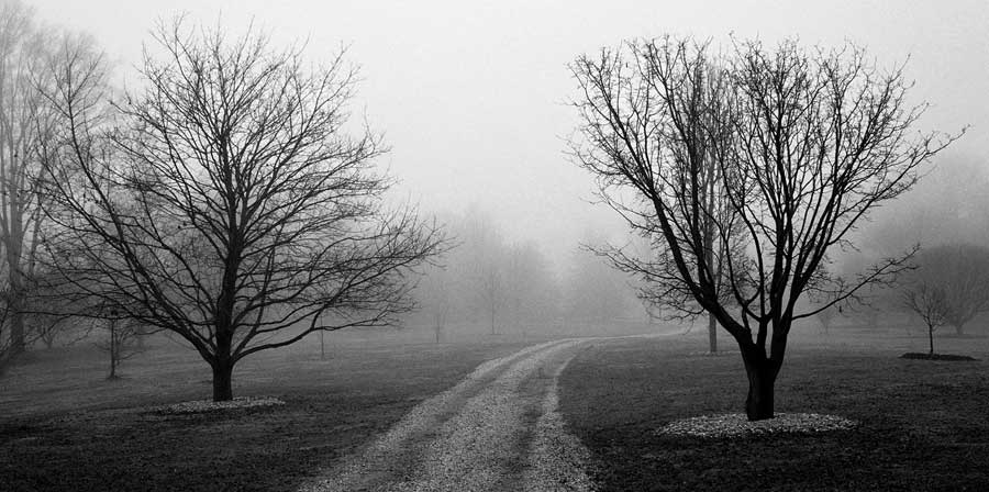 Road to Somewhere by artist  Michael  Iacobellis