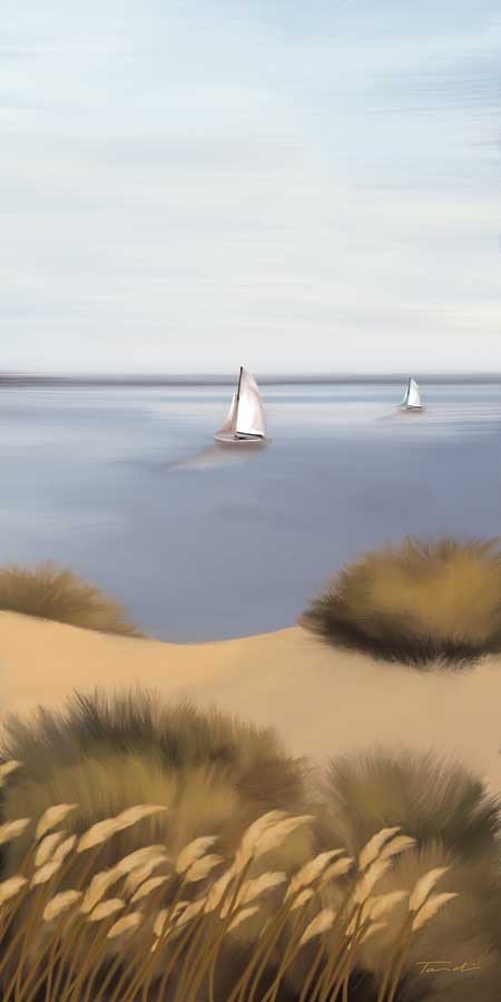 Afternoon Escape by artist  Tandi Venter