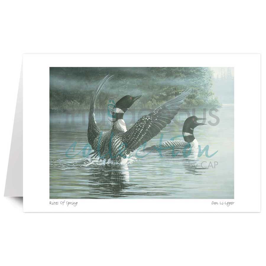 Rites Of Spring by artist Don Li-Leger