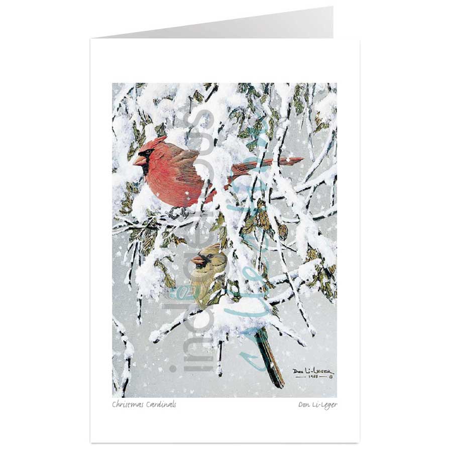 Christmas Cardinals by artist Don Li-Leger