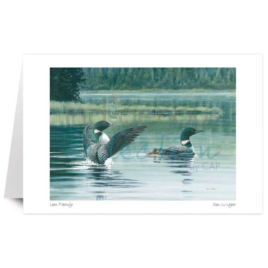 Loon Family by artist Don Li-Leger
