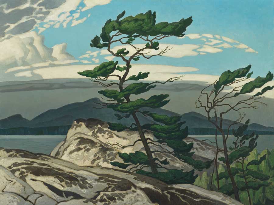 White Pine Poster by Group of Seven artist A.J. Casson