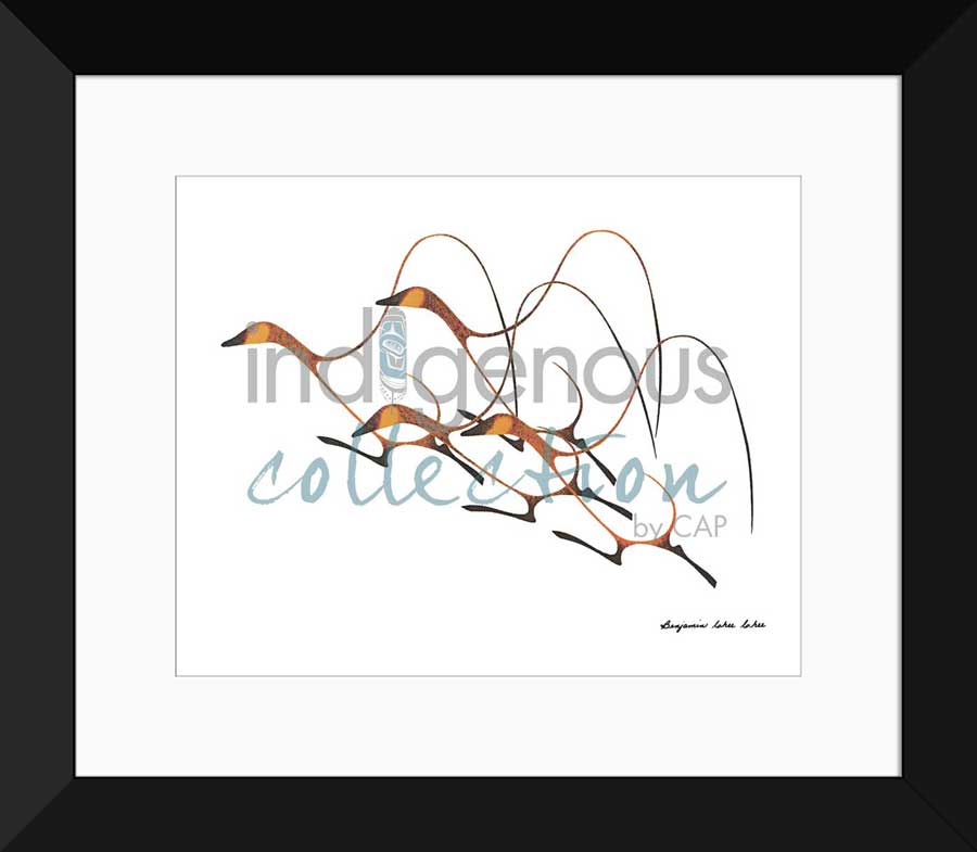 Autumn Flight Limited Edition. Indigenous Collection