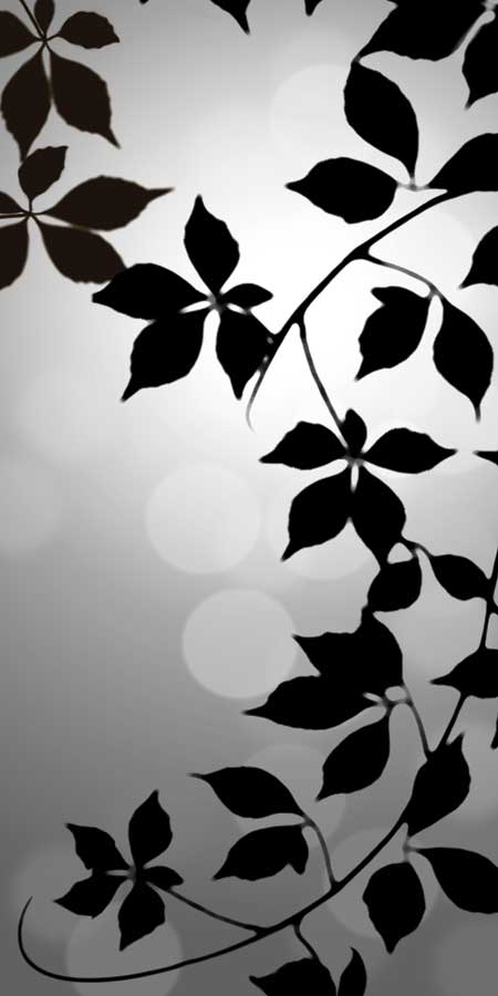 Silver Reflections II by artist  Edward Aparicio