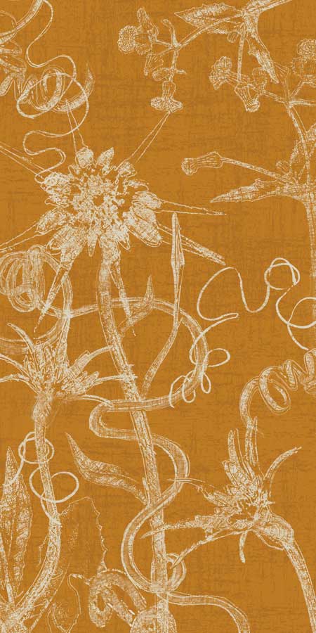 Prose and Verse I by artist  Amori