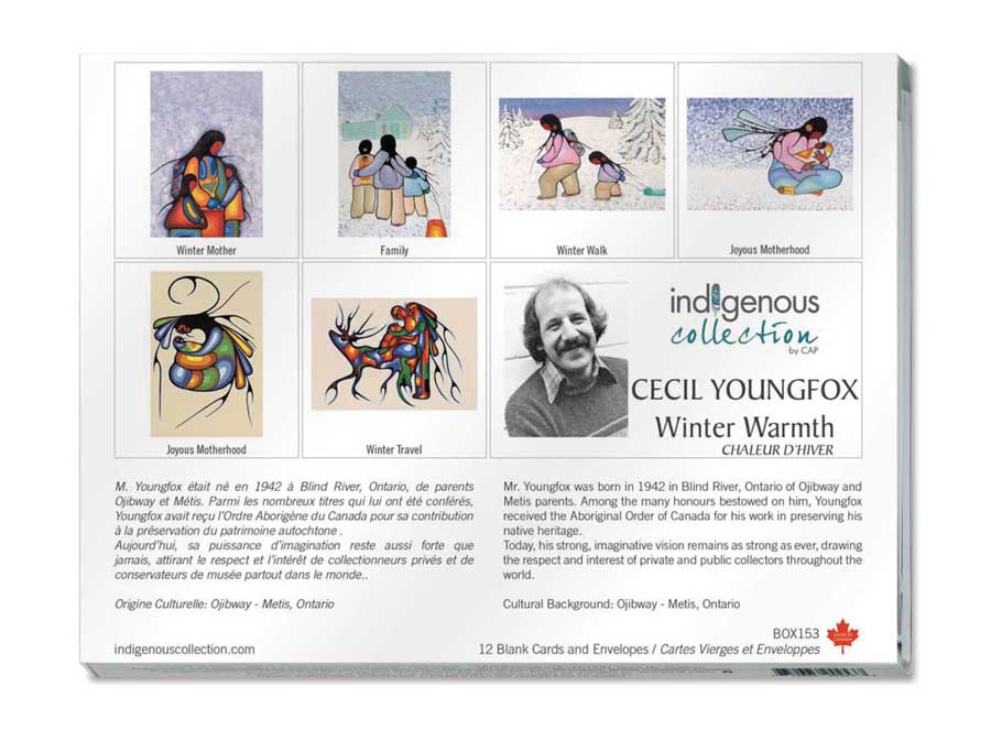 Winter Warmth Boxed Note Cards by artist Cecil Youngfox