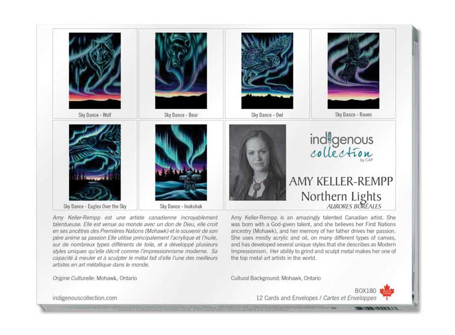 Northern Lights Boxed Note Cards by artist Amy Keller-Rempp