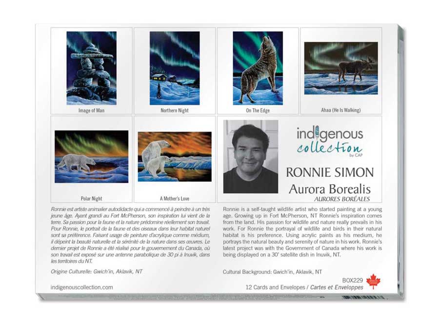 Aurora Borealis Boxed Note Cards by artist Ronnie Simon