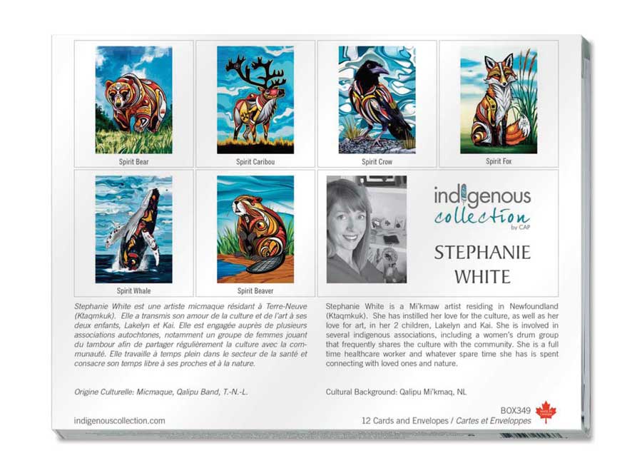 Stephanie White Boxed Note Cards by artist Stephanie White