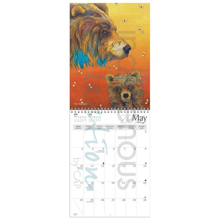 Medicine Ponies 2026 Wall Calendar