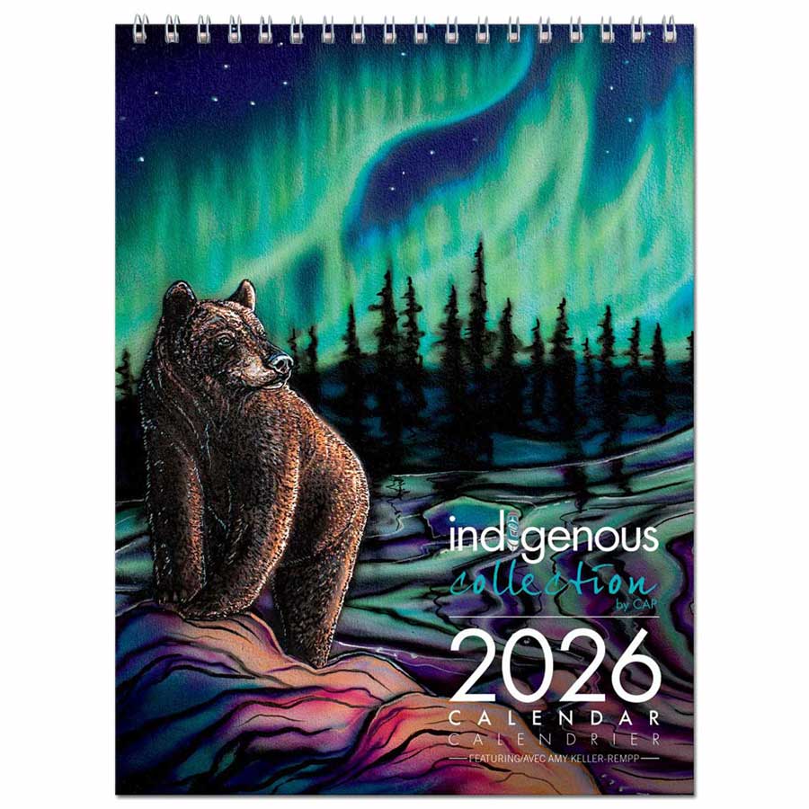 Sky Dance - Northern Light 2026 Wall Calendar