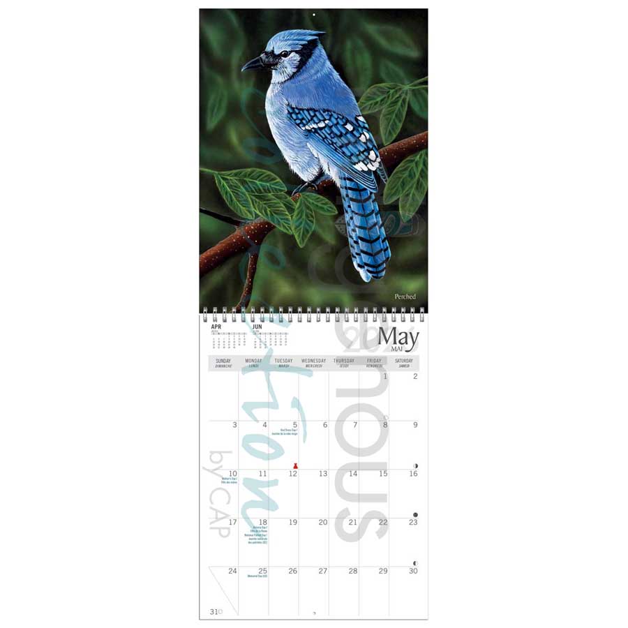 Trail Blazing 2026 Wall Calendar