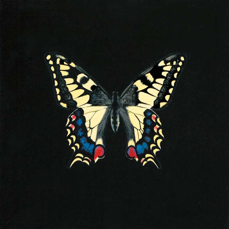 Butterfly on Black by artist Joanna Charlotte