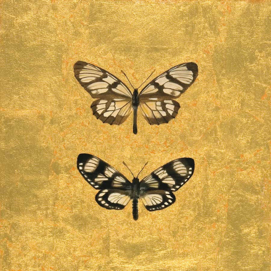 Pair of Butterflies on Gold by artist Joanna Charlotte
