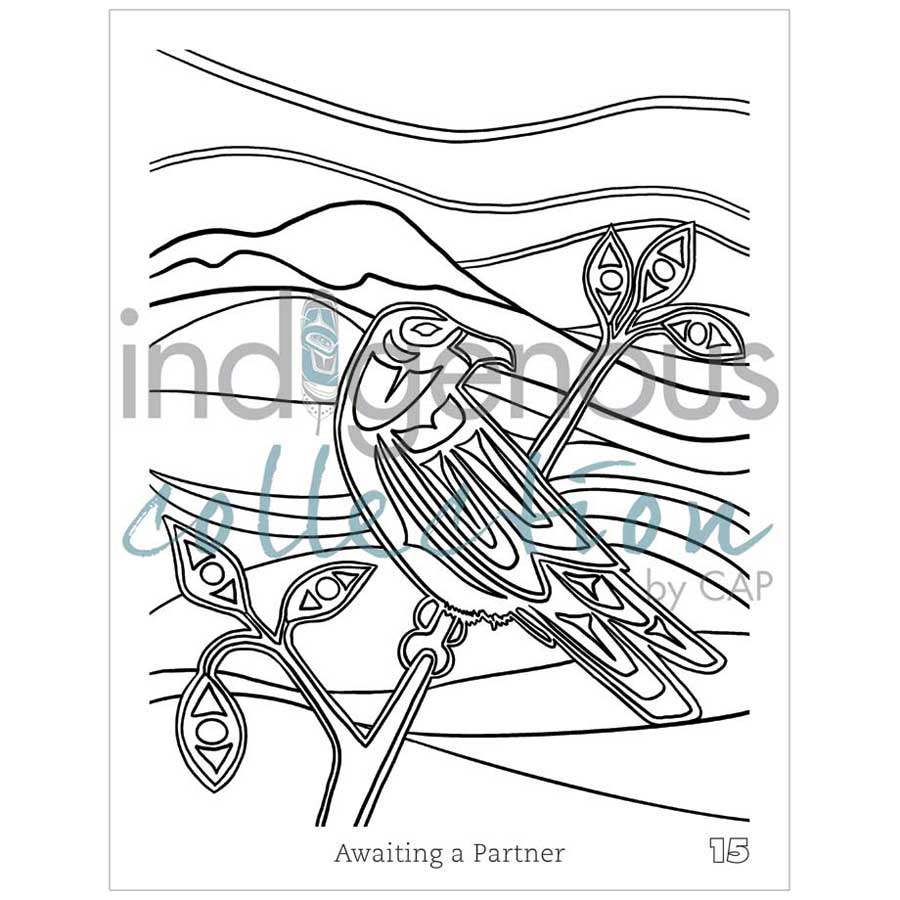 Shelley Davies Colouring Book