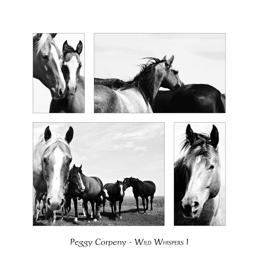 Wild Whispers I by artist  Peggy  Corpeny