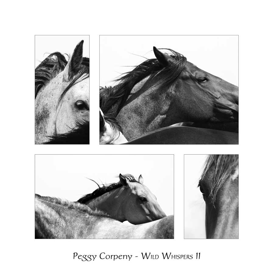 Wild Whispers II by artist  Peggy  Corpeny