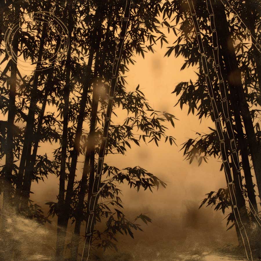 Shadow Play I by artist  Madeleine (Arleigh Wood) Endo