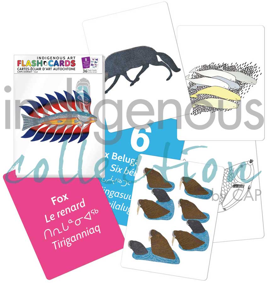 Collection Flash Card Flash Cards – Indigenous Collection and CAP & Winn Devon