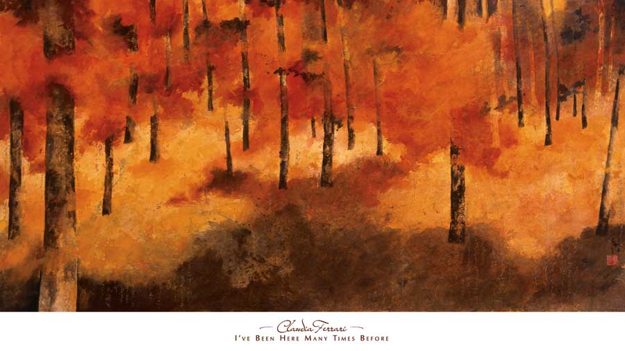 I' ve been Here Many Many Times by artist  Claudia  Ferrari