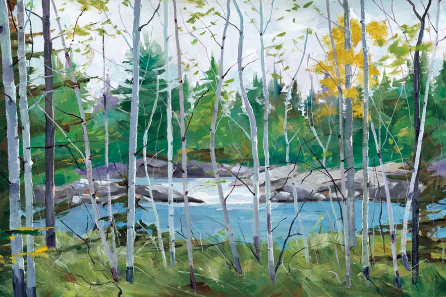 Oxtounge Rapids by artist  Graham Forsythe