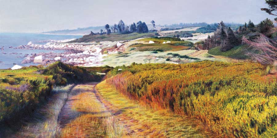 Between Kettle Cove &#038; Silver Beech by artist  Jon R. Friedman