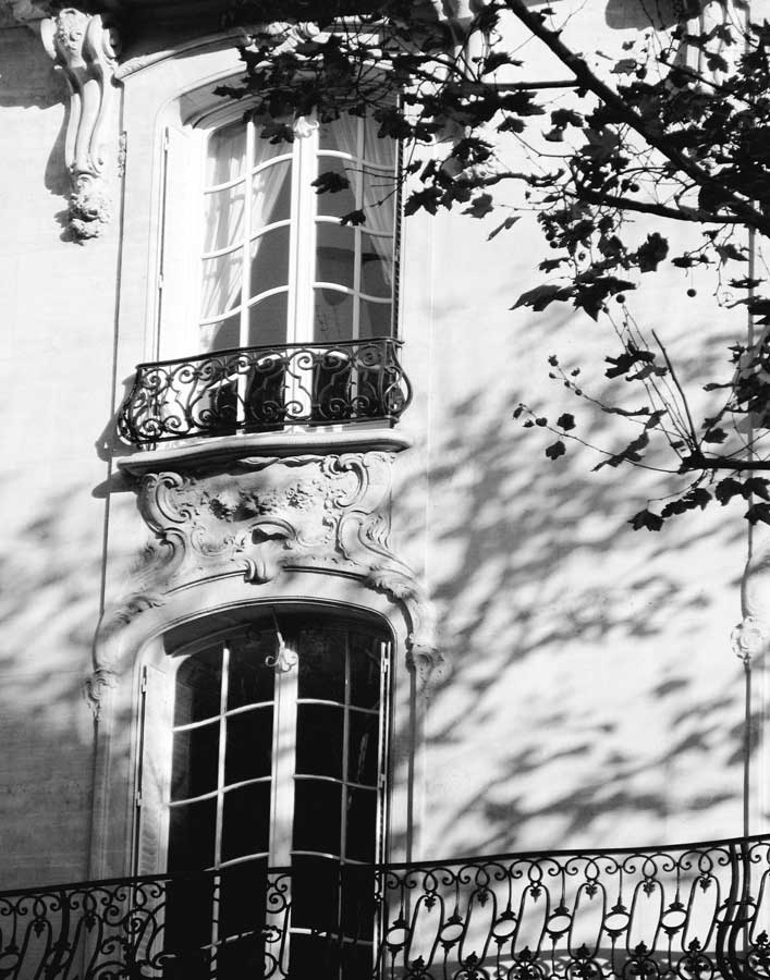 Autumn Shadows I by artist  Jorge Gomis