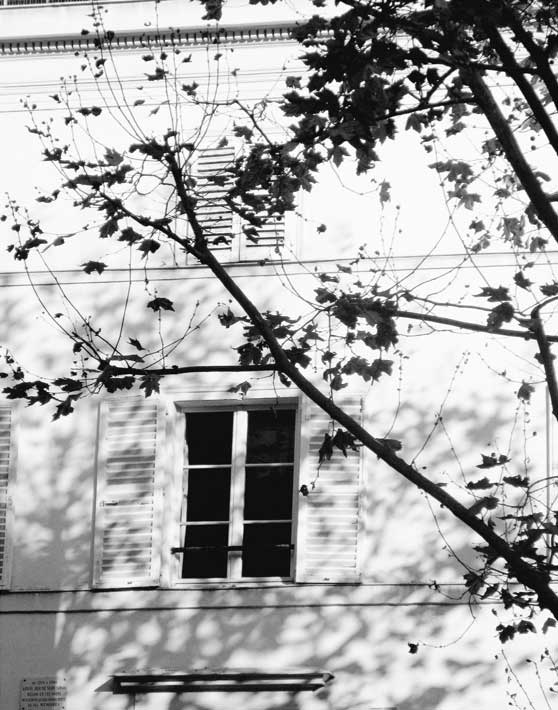 Autumn Shadows II by artist  Jorge Gomis