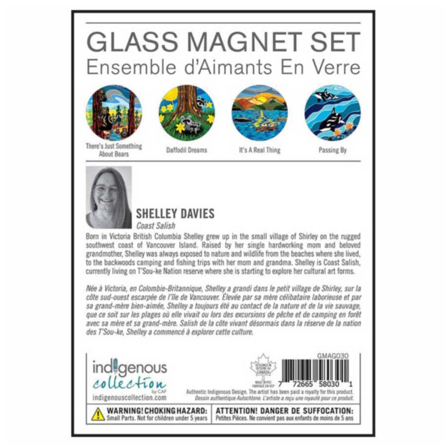 Shelley Davies Glass Magnets Set