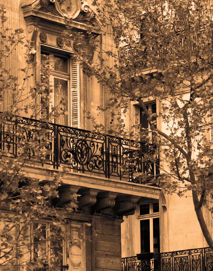 Printempts Arrive by artist  Marina Drasnin Gilboa