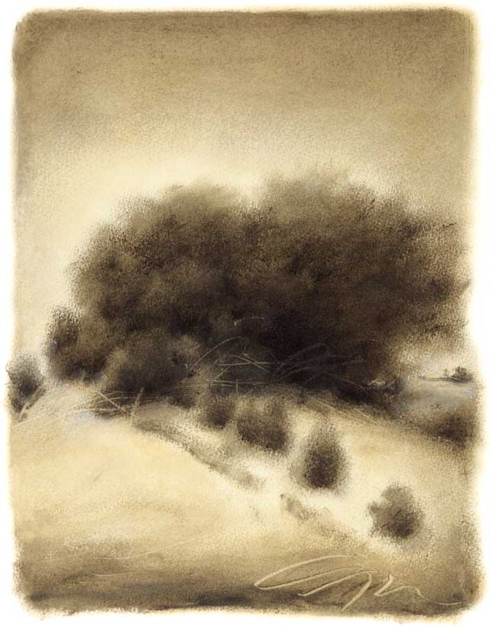 Hill Side I by artist  Gretchen Hess