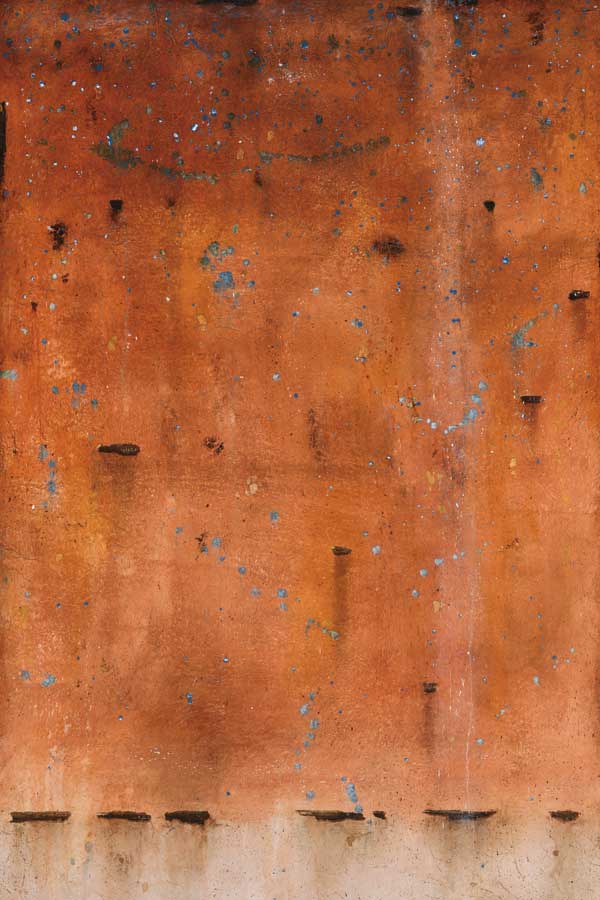 Freckled Phenotrope by artist  Atom Johnson