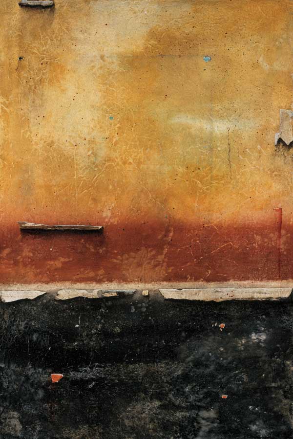 Wainscoterie by artist  Atom Johnson