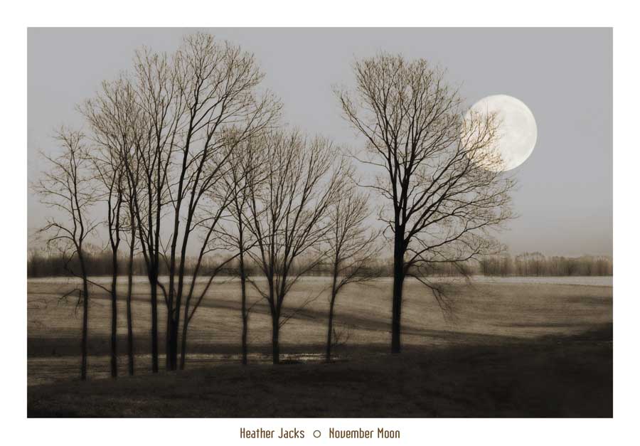 November Moon by artist  Heather Jacks