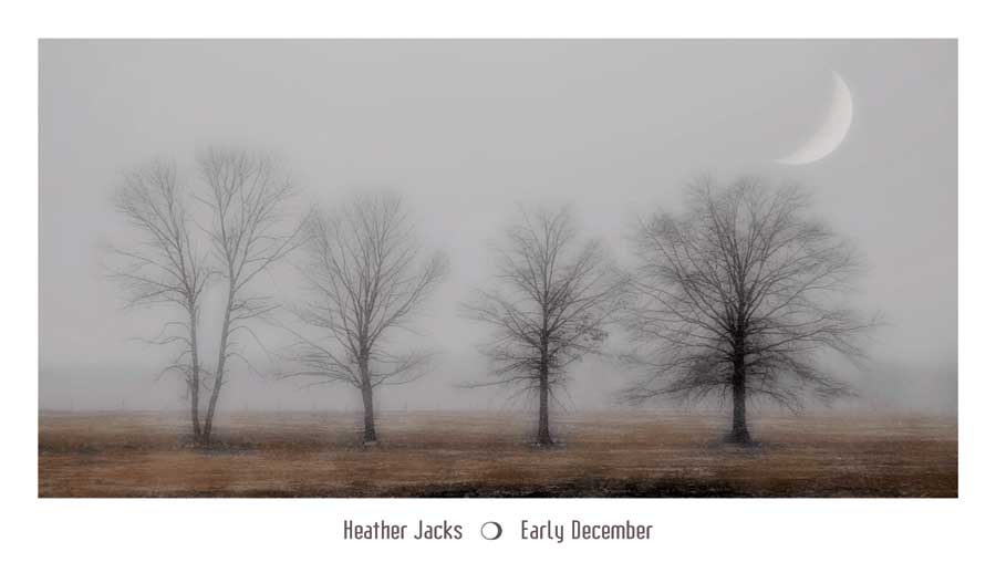 Early December by artist Heather Jacks