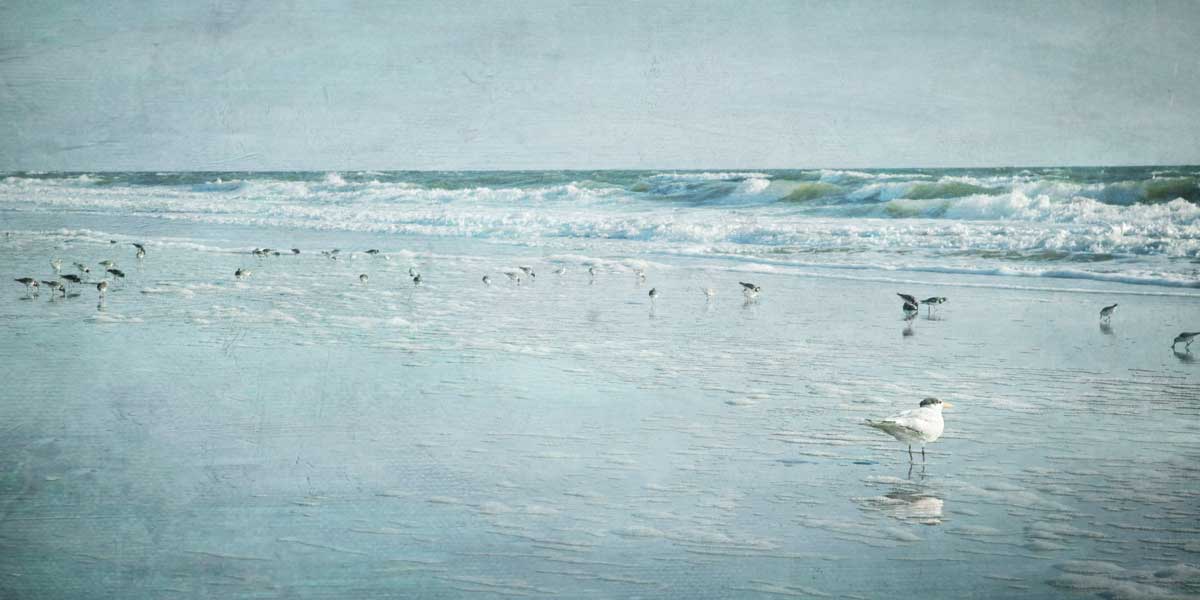 Coastal Breeze by artist  Heather Jacks