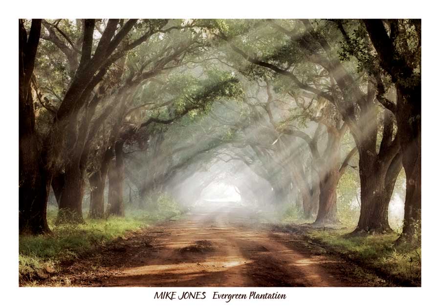Evergreen Plantation by artist Mike Jones