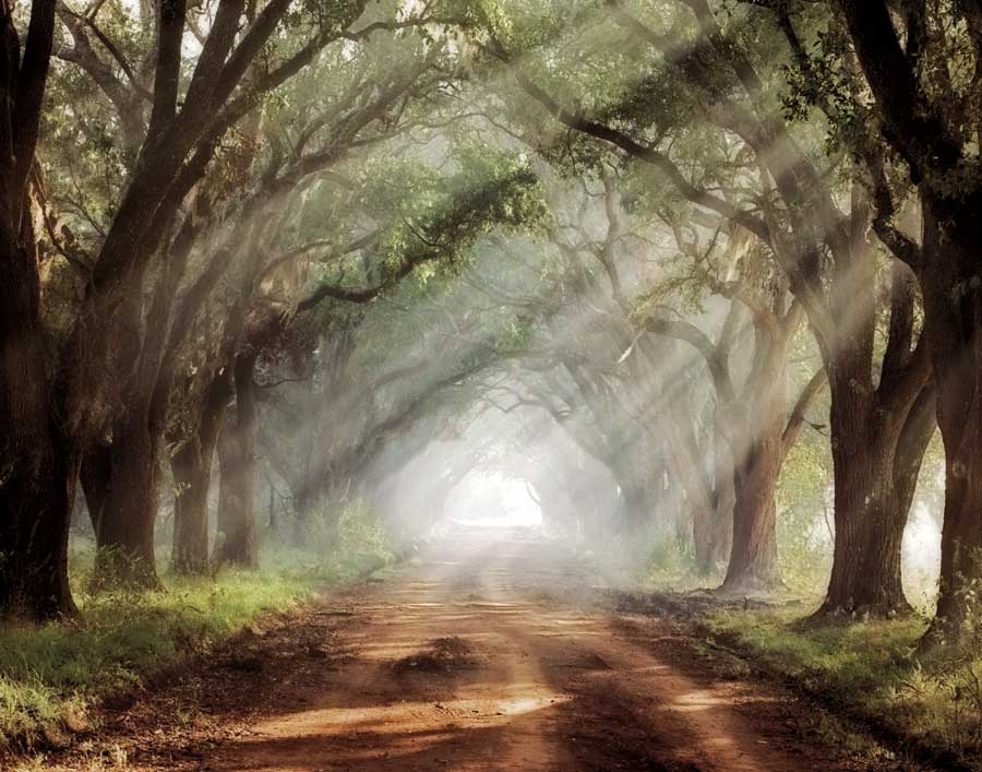 Evergreen Plantation by artist Mike Jones